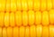 Background of corn grains