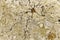 Background cracked nail gray stone wall concrete