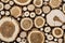 Background of cross section of round cut logs of various sizes. Wall of cut brown logs with bark, cracks and texture of