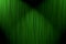 Background curtain green