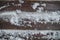 Background dark wooden floor in snow