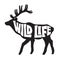 Background with deer and text. Wild life