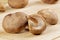 Background of delicious edible brown mushrooms