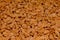 A background of delicious salty peanuts, a texture of peanuts