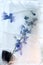 Background of delphinium   flower   in ice   cube with air bubbles