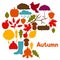 Background design with autumn icons and objects