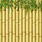 Background design with golden bamboo