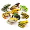 Background from different colorful frogs on white, many different types of amphibians zoological biological