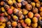 A background of discarded rotten fruits left to waste after the market. Apricots