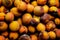 A background of discarded rotten fruits left to waste after the market. Apricots