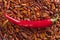Background of dried chili peppers