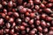 Background of dried rosehip berries. Healthy berries for tea, natural antioxidant. Macro photo