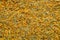 Background of dry calendula flowers, dried marigold petals.