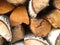Background of dry chopped logs