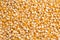 Background of dry corn grains. Popcorn maize background