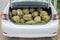 Background of durian on the car