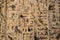 Background of Egyptian hieroglyphics carved in vertical rows into ivory