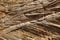 Background of eroded layers of sedimentary rock in Utah USA Zion National Park 0 originally a seabed lifted up by push of Rocky