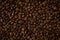 Background of evenly scattered coffee beans