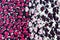 Background fabric floral