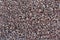 Background of fine fraction of crushed granite close up