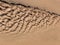 Background from fine and wet sand, sand textures