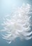 Background fluffy white light closeup abstract animal texture soft bird pattern feather nature