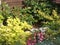 Background Foliage Mixture Small Garden Border