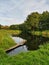 Background with forest on riverbank. Place for fishing on creek