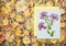 Background of fragments broken flowers and leaves. Scrapbooking element consists mosaic of flowers and petals. For cards,