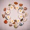 Background frame circle of colorful sea and river stones and rose