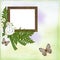 Background with frame, daisy, butterfly