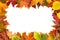 Background frame isolated colorful autumn leaves wedding party i