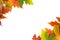 Background frame isolated colorful autumn leaves wedding party i