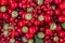 Background of fresh berries (cherries, red and black currants, gooseberries)