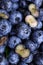 Background of fresh blueberries with cut halves macro close up, concept of organic wholesome food. Vertical Orientation