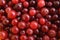 Background from fresh juicy cranberries