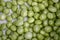 Background with fresh organic green peas. Close-up view from above