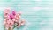 Background with fresh pink flower hyacinths on turquoise paint