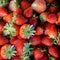 Background from freshly harvested strawberries, Fresh Strawberry Background