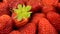 Background from freshly strawberries, directly above, horizontal photography