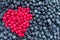 Background of frozen blue berries and red cranberry heart.