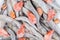 Background of frozen various seafoods in icy glaze
