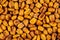 Background full of roasted raw salty corn or maize kernel