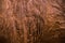 Background fur for design, close up of brown pedigree horse skin