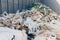 Background garbage bag black bin waste, Garbage dump, Bin,Trash, Garbage, Rubbish, Plastic Bags pile junk garbage Trash