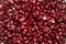 Background from garnet bubushka, fruits of a grana on all screen, red, red pomegranate, from pomegranate red, photowall-paper from