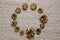 A background of gilded pine cones, top view, a round frame in the center, on a knitted canvas in the cold normal light.