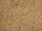 Background golden gravel surface.Gravel texture