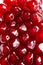 Background of grains pomegranate